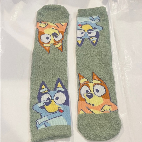 Ludo Accessories - Bluey Fuzzy Crew Cartoon Character Green Socks